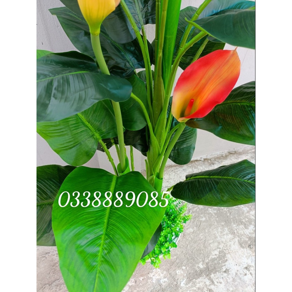 Cây giả- Cây hoa Rum (ZUM) 1,6m siêu đẹp