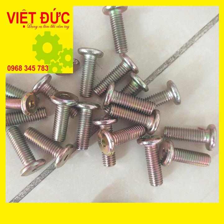 Bu lông lục giác chìm phi 8 dài 25cm 100con