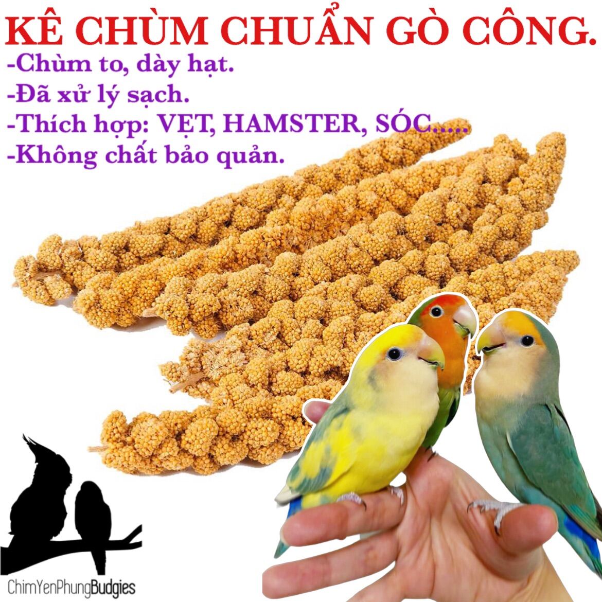 2kg kê sợi (kê chùm) cho Vẹt, Sóc, Hamster [thức ăn thú cưng]