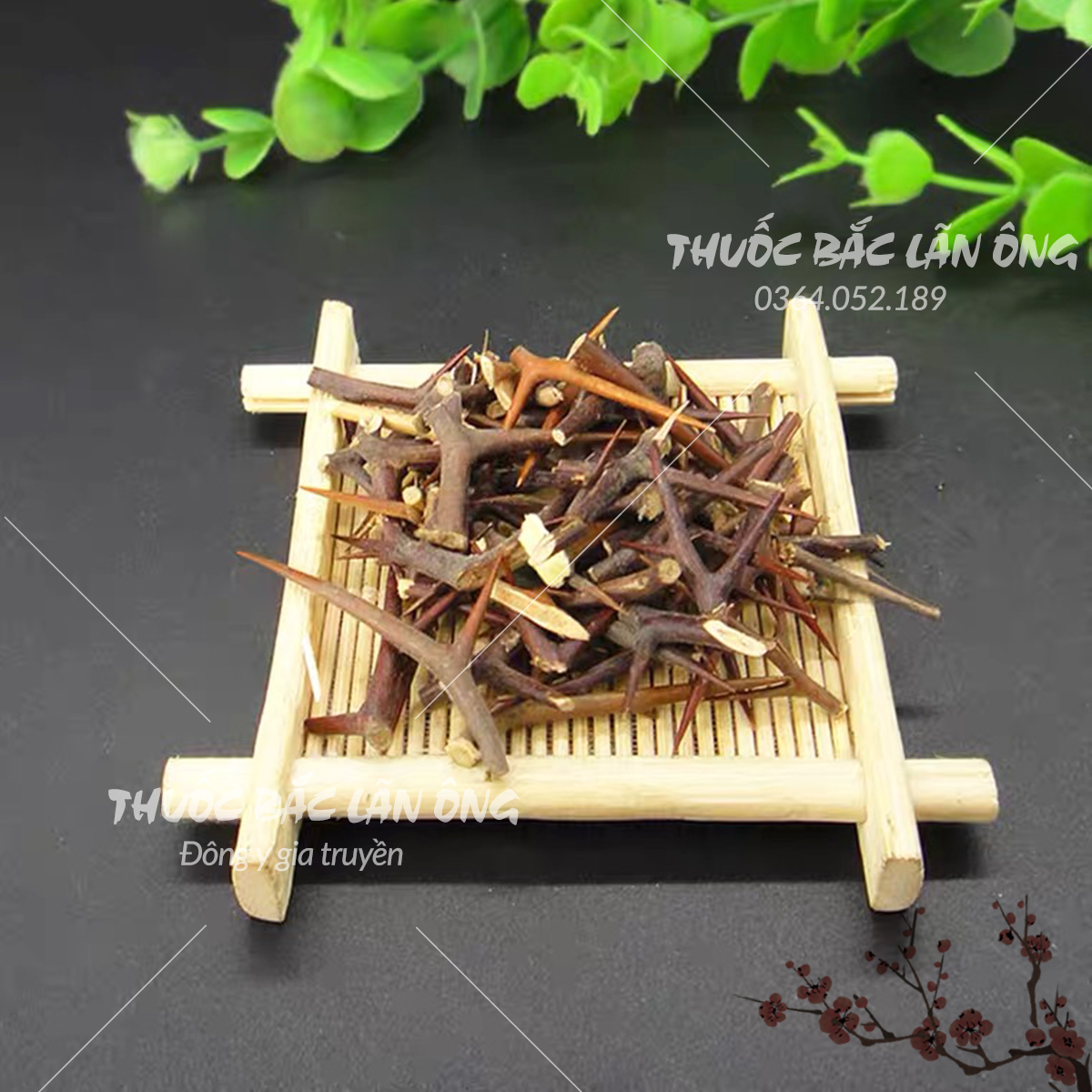 Gai bồ kết khô 1kg (Tạo giác thích)