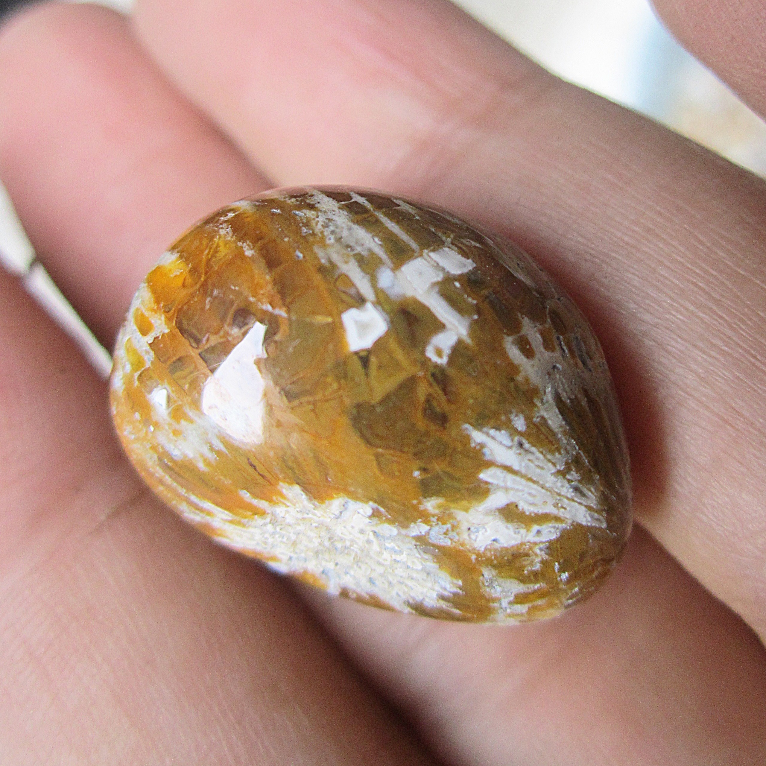 100Gr Đá Hoa Cúc - Coral agate - đá san hô