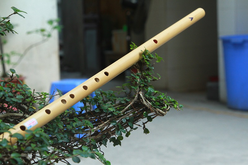 Sáo trúc ST02