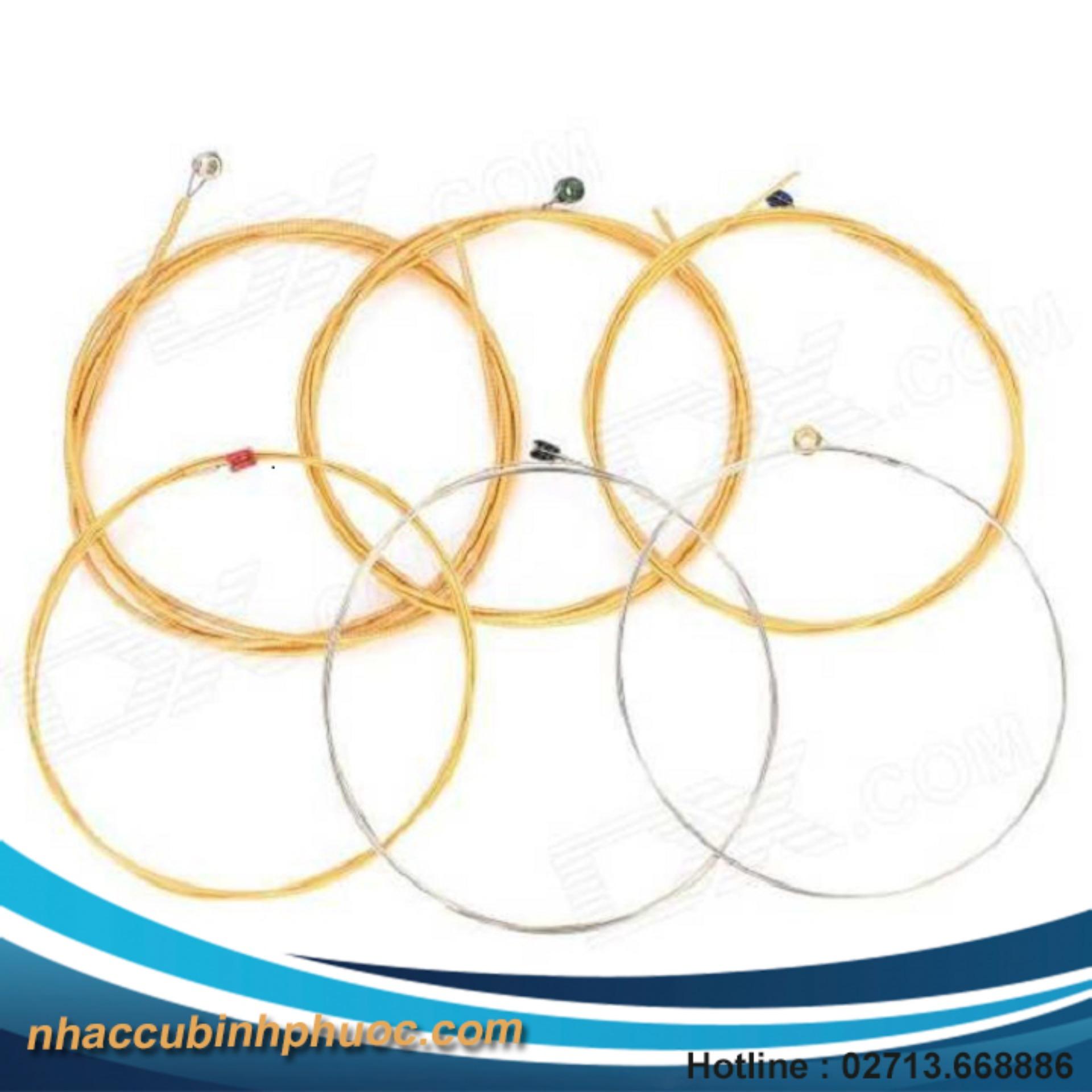 Bộ dây đàn Acoustic EJ26 (Bộ)