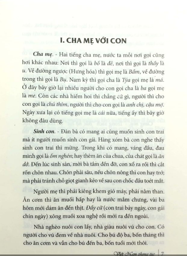 Việt Nam phong tục (bìa mềm) (tái bản)