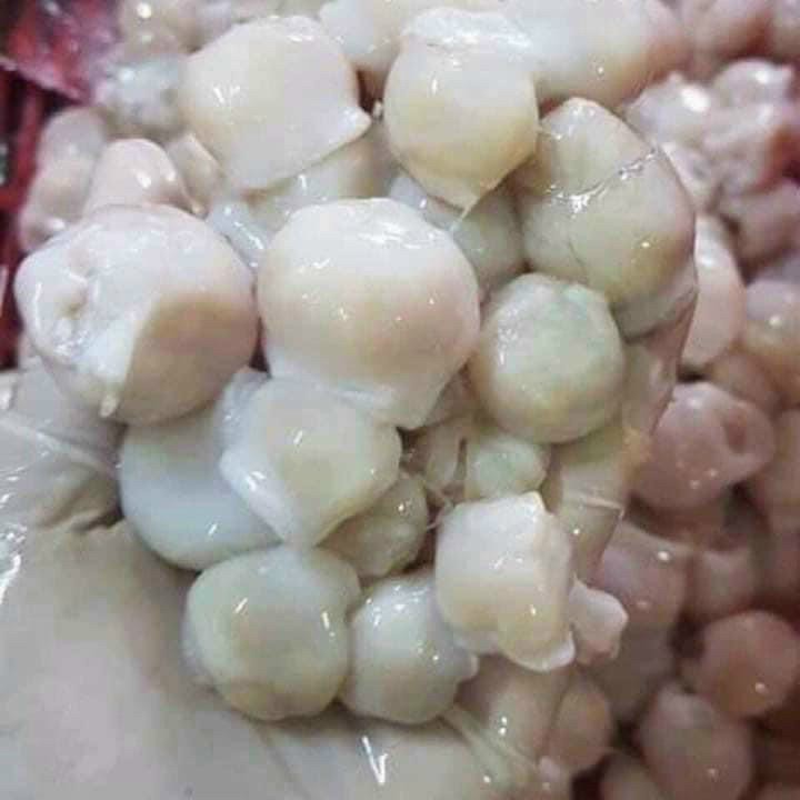1Kg Răng Mực Net7, Ship hỏa tốc/ 500g