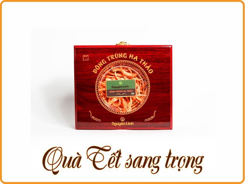ĐÔNG TRÙNG HẠ THẢO TỰ NHIÊN TRONG SUỐT NẰM TRÊN ĐÁ PHỦ SƯƠNG MỜ