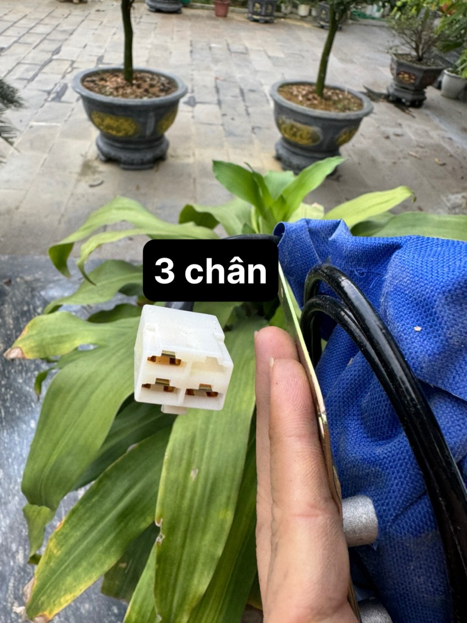 Rơ le tắt máy bọc vải 12v hoặc 24v 3 chân hoặc 5 chân tuỳ loại hàng loại 1