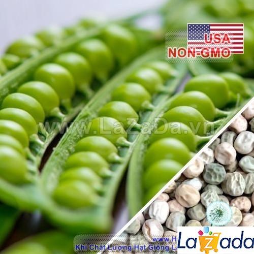 5Gr Hạt Giống Đậu Hà Lan Leo Chịu Nhiệt Wando Xuất Sắc (A2.303| C35*W53*M305)