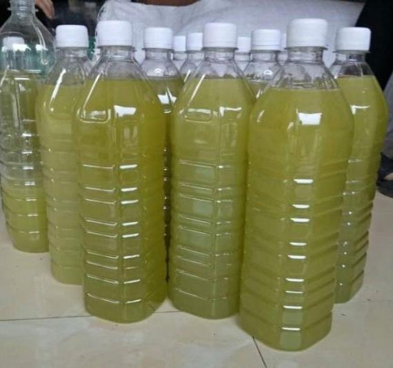 Mật Ong Bạc Hà 1l