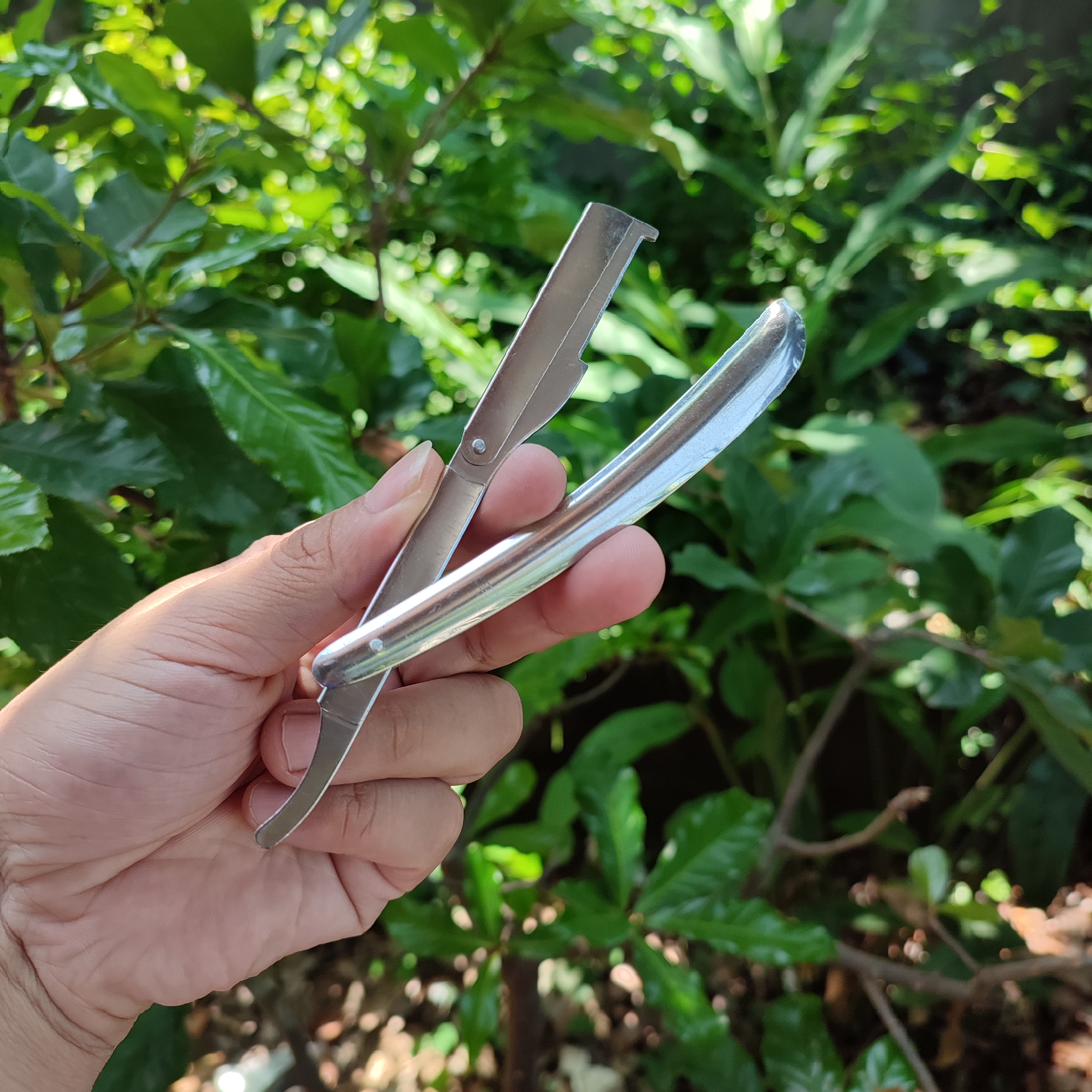 Dao cạo mặt Thanh Sơn cao cấp