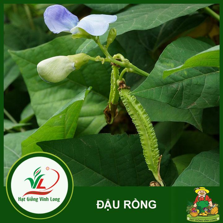 Hạt giống Đậu rồng RD 754 - 10g