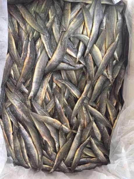 1kg Khô cá chạch