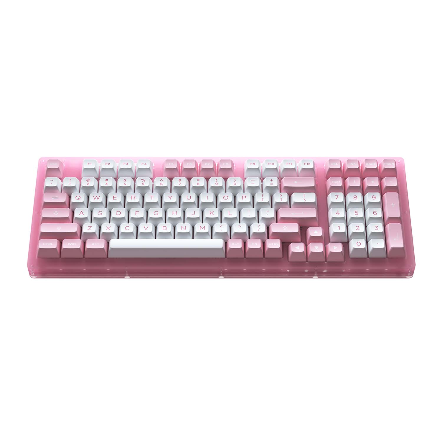 Bàn phím cơ AKKO ACR98 Pink (Hotswap / RGB / AKKO CS sw Jelly Pink)