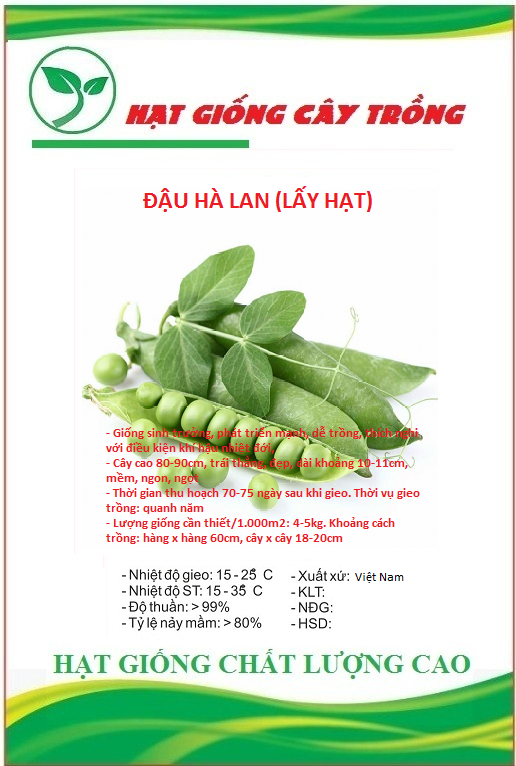 Hạt giống đậu hà lan - Gói 50gram