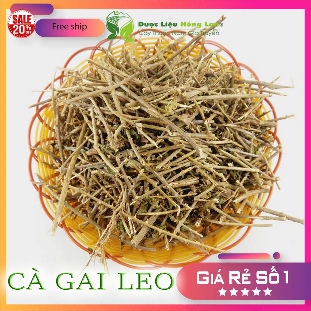 [FreeshipMAX] [HCM]Cây Cà Gai Leo khô 1kg