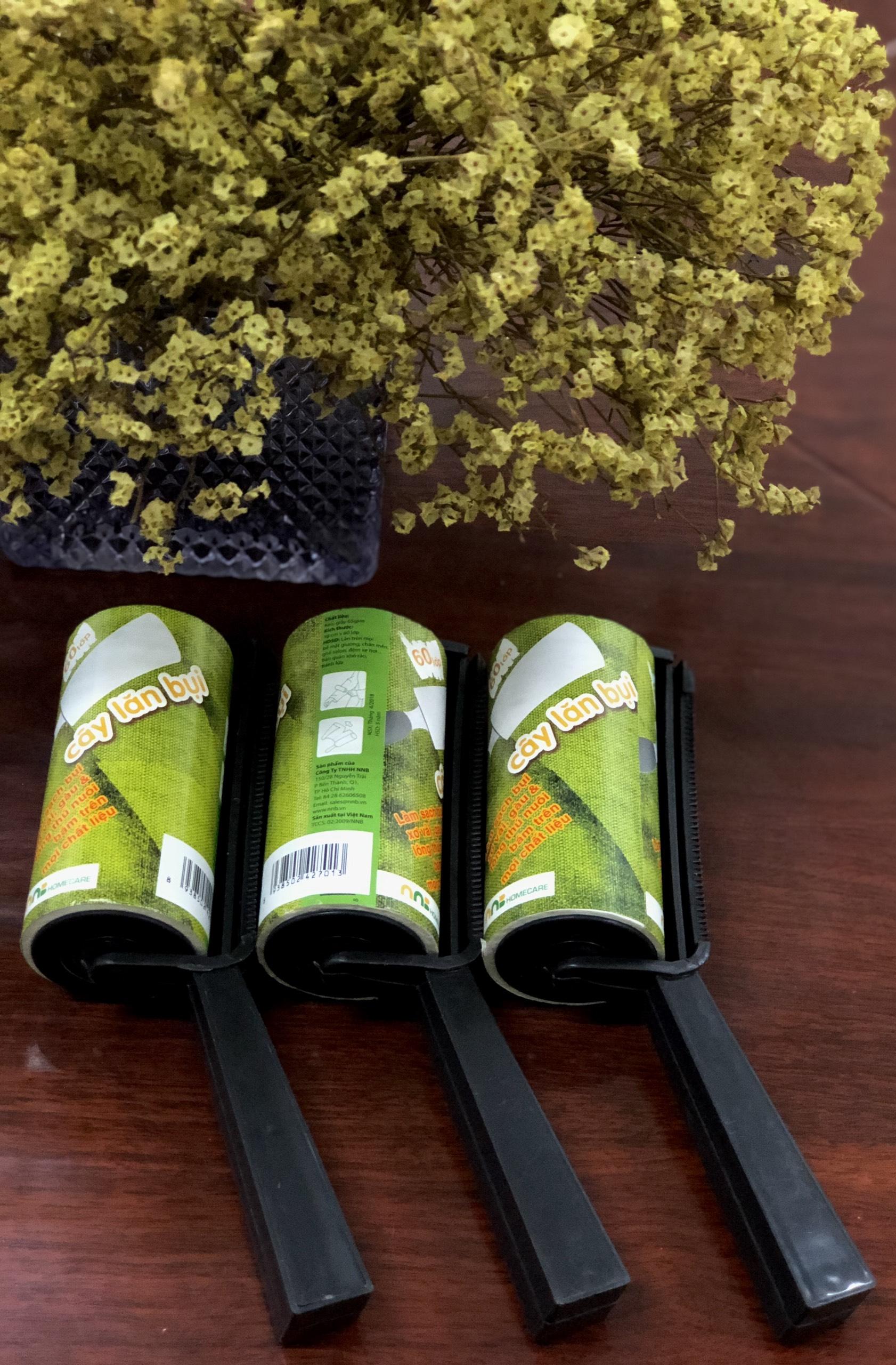 Cây lăn bụi 60 lớp