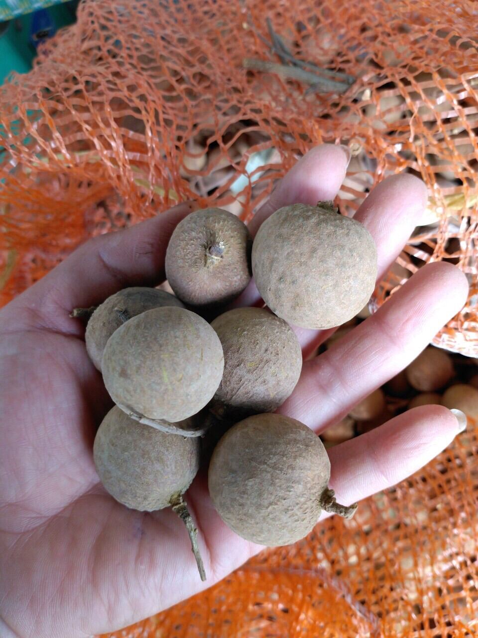 Nhãn Sấy Khô Nguyên Vỏ 1kg