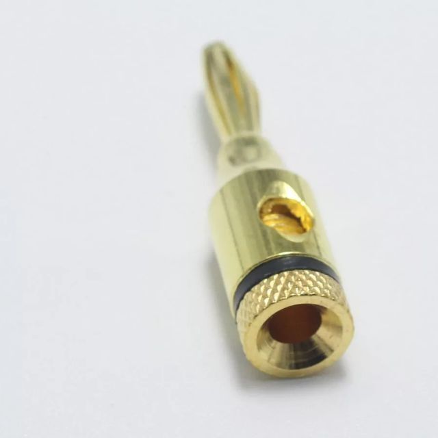 Jack bắp chuối loại tốt 1 cặp