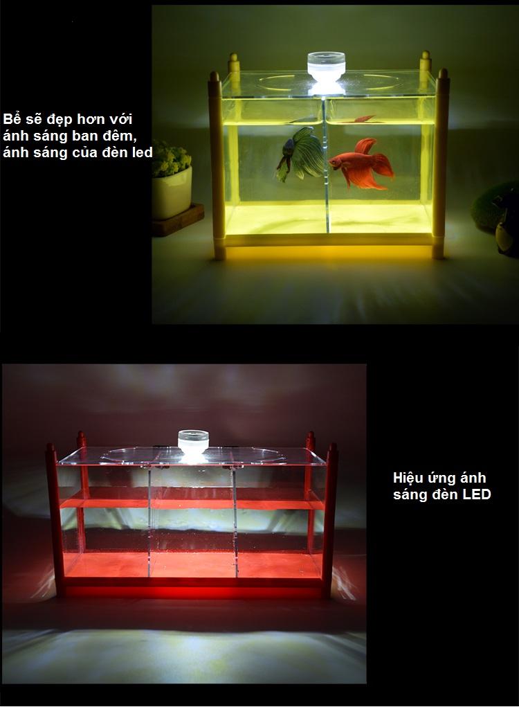 Bể ba cá chọi betta xếp tầng
