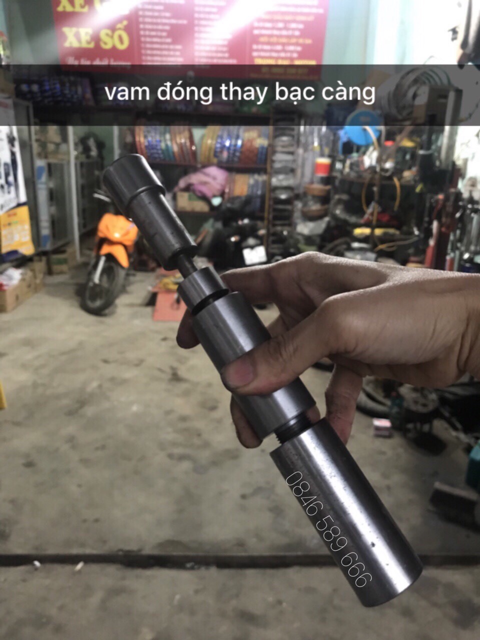 Vam Bạc Càng (cảo bạc gâp)