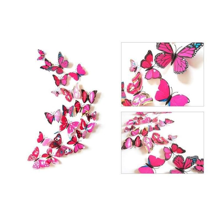 SET 12 bướm 3D gắn tường nhiều màu