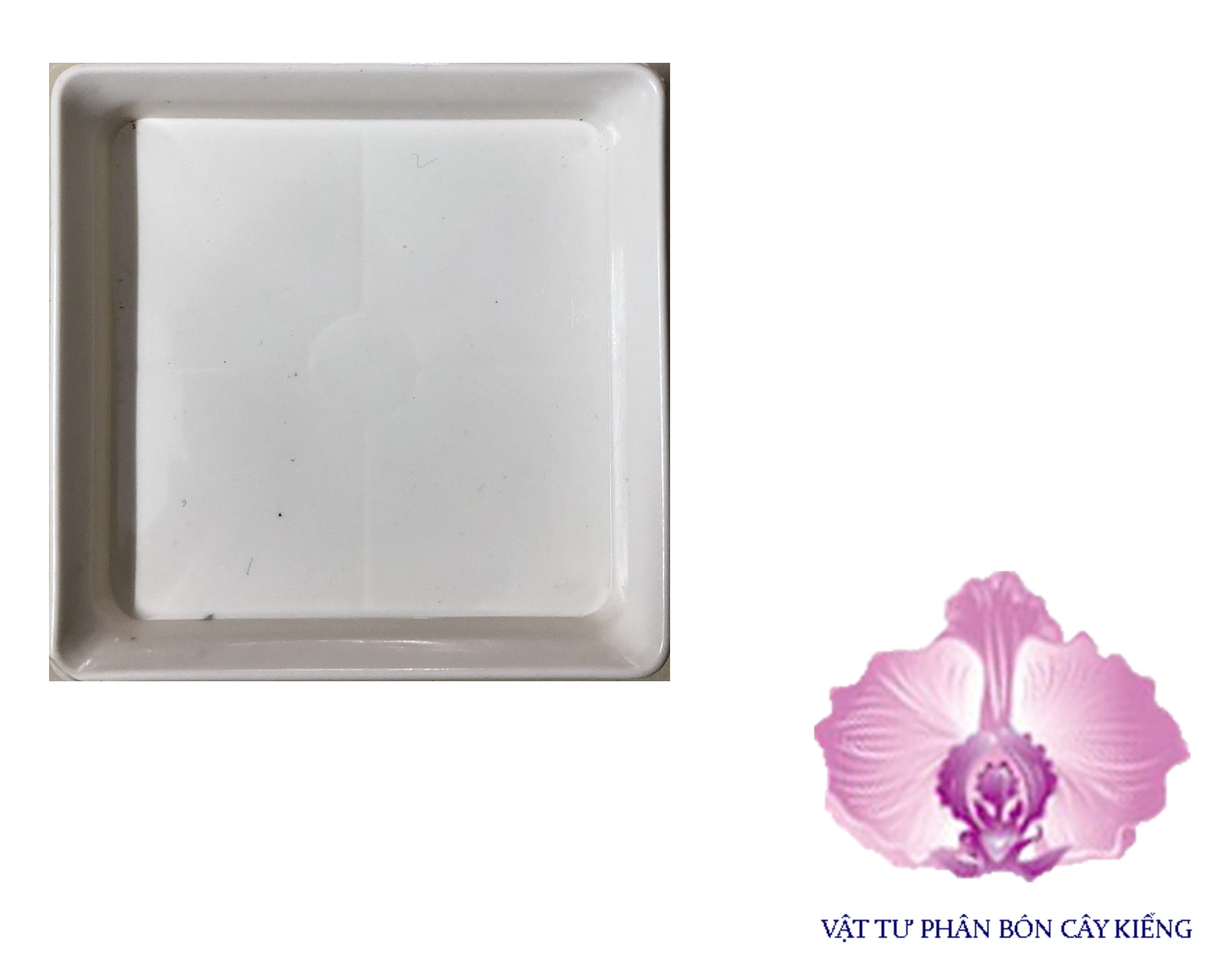 Đĩa lót chậu vuông 12cm - #065d#