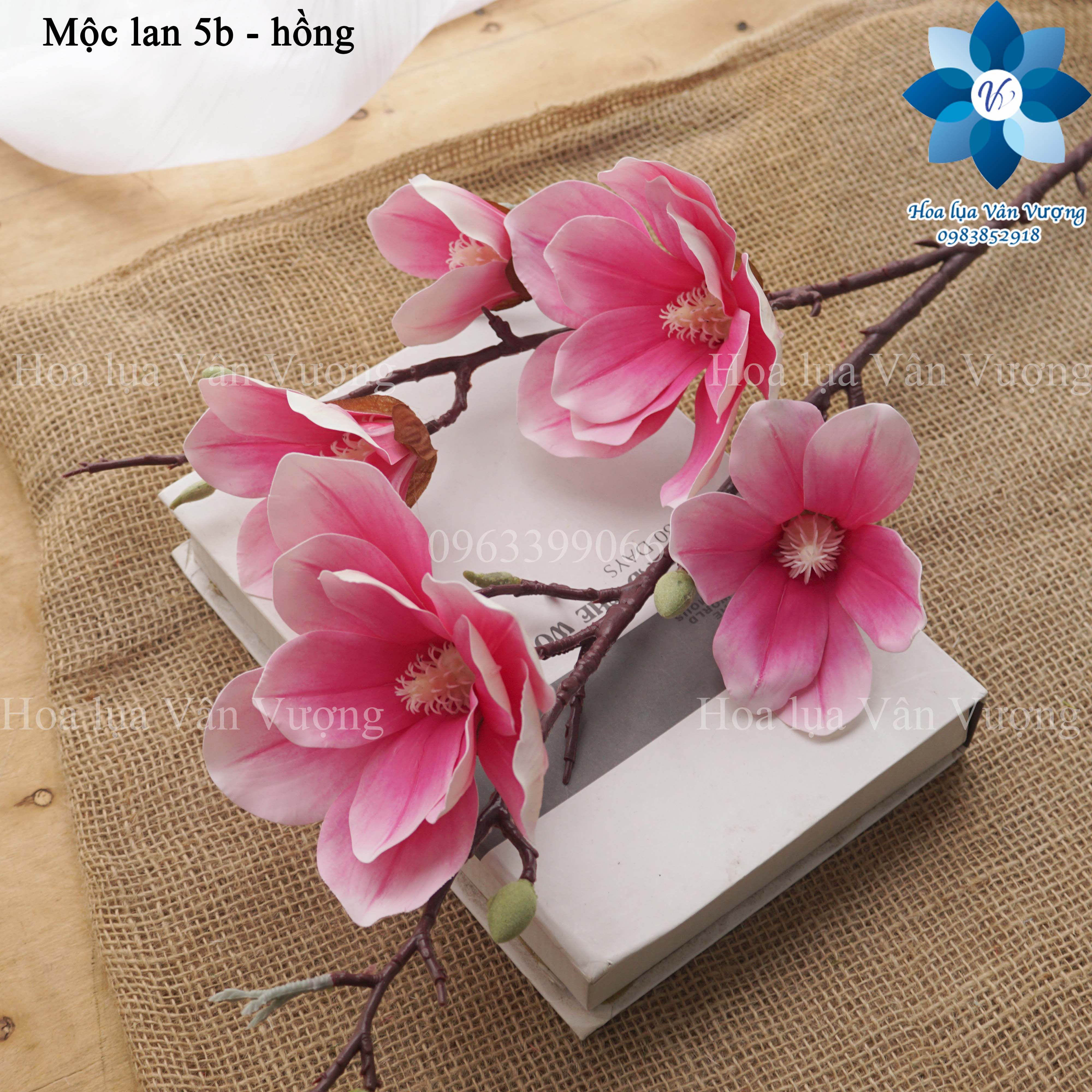 Hoa Giả, Cành Hoa Mộc Lan 5 Bông