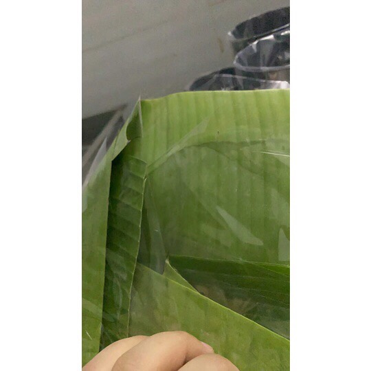 Màng Nilon/ Manh nilon Gói Chả Lụa, Nem Chua Size 40*40