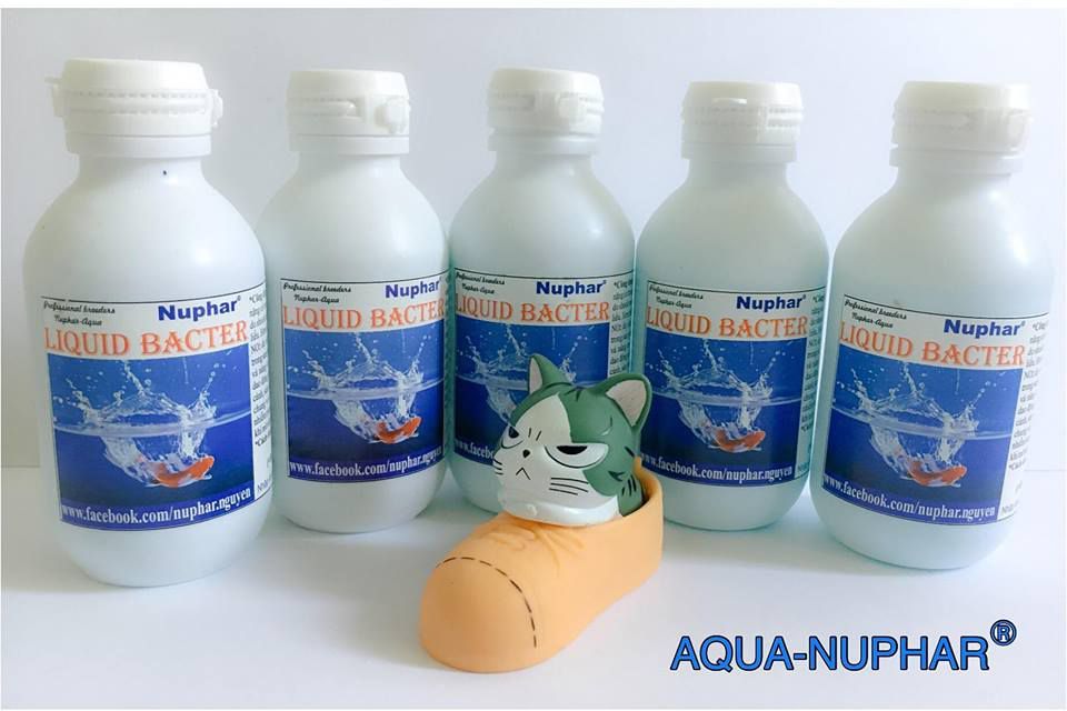 Nắp Ấp Artemia (100 cái) - Phụ Kiện Cá Cảnh