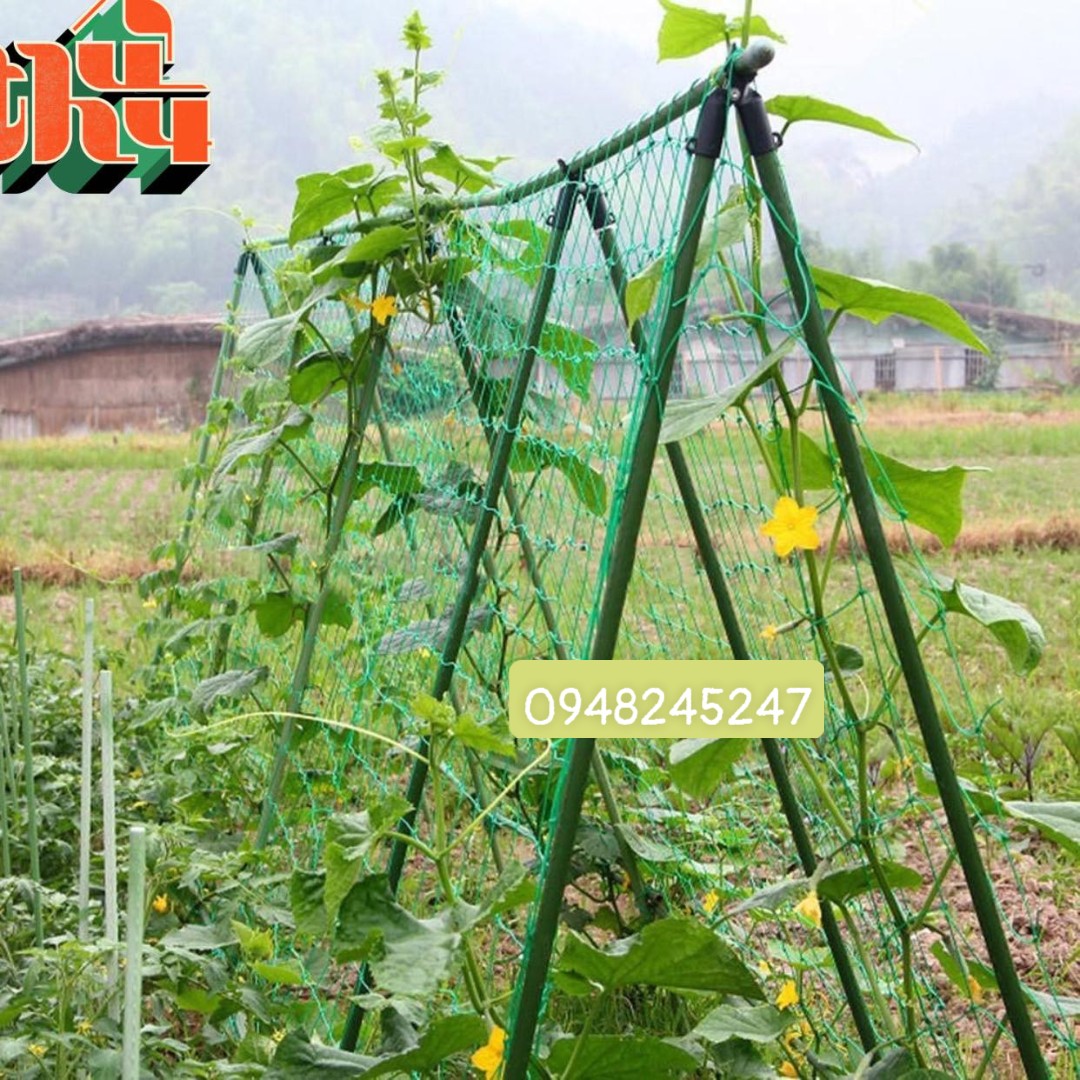 Lưới làm giàn leo cho tất cả cây thân leo