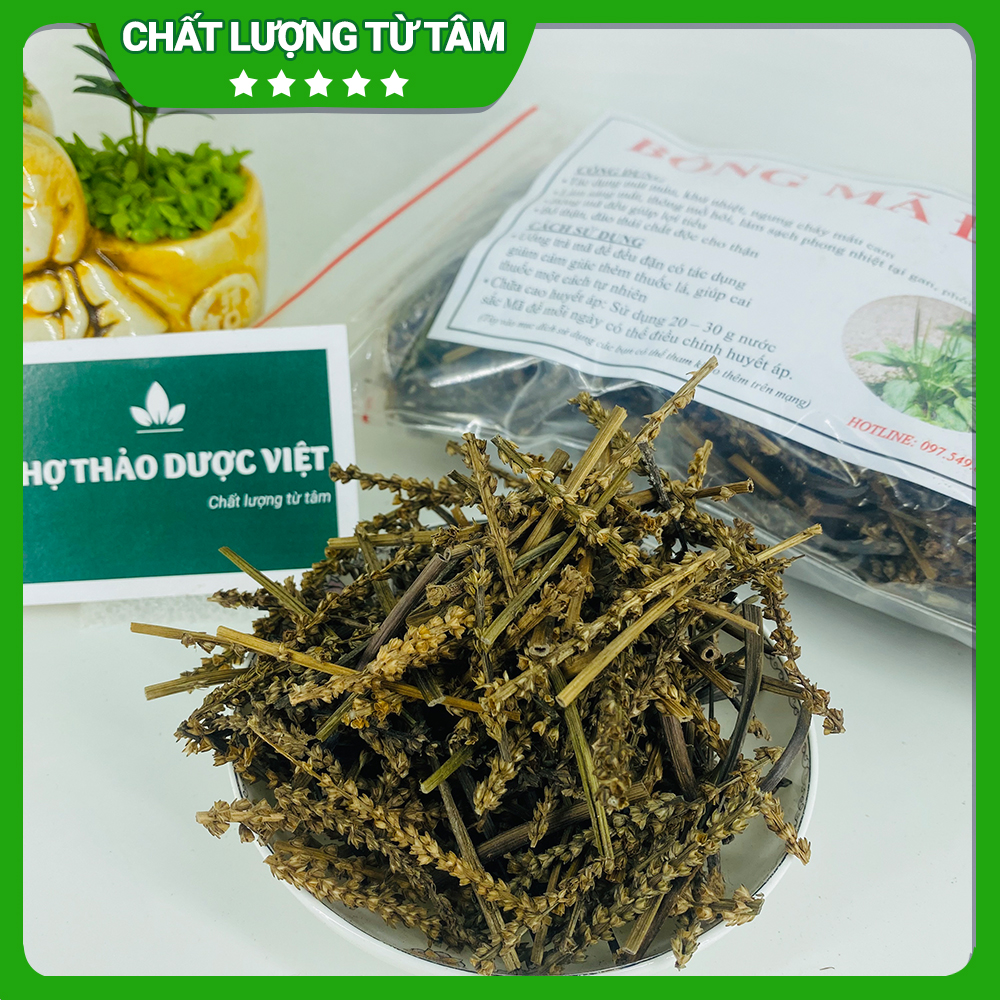 Bông mã đề 1kg, cây mã đề lợi tiểu hỗ trợ tán sỏi thận, bí tiểu, giảm ho tiêu đờm, ổn định huyết áp