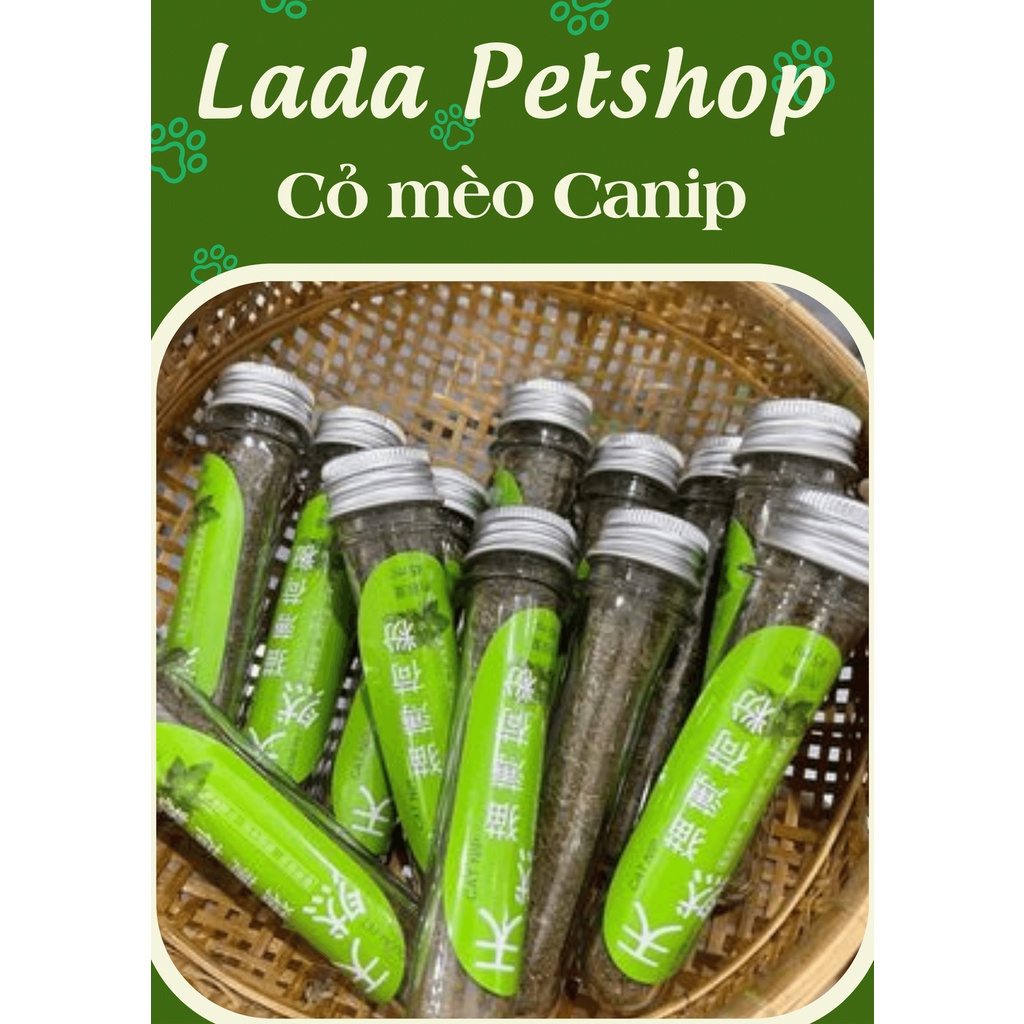 Cỏ mèo ống 45ml