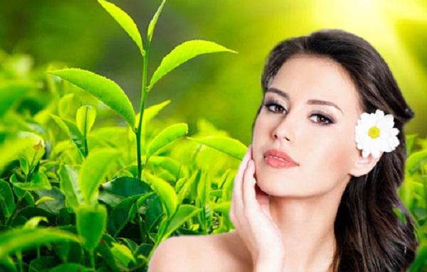 Bột Trà Xanh nguyên chất (Làm bánh, nước uống matcha, đắp mặt dưỡng da)
