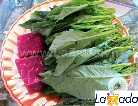 100h Hạt Giống Cải Trời (A4.402| C10*W52*M186)