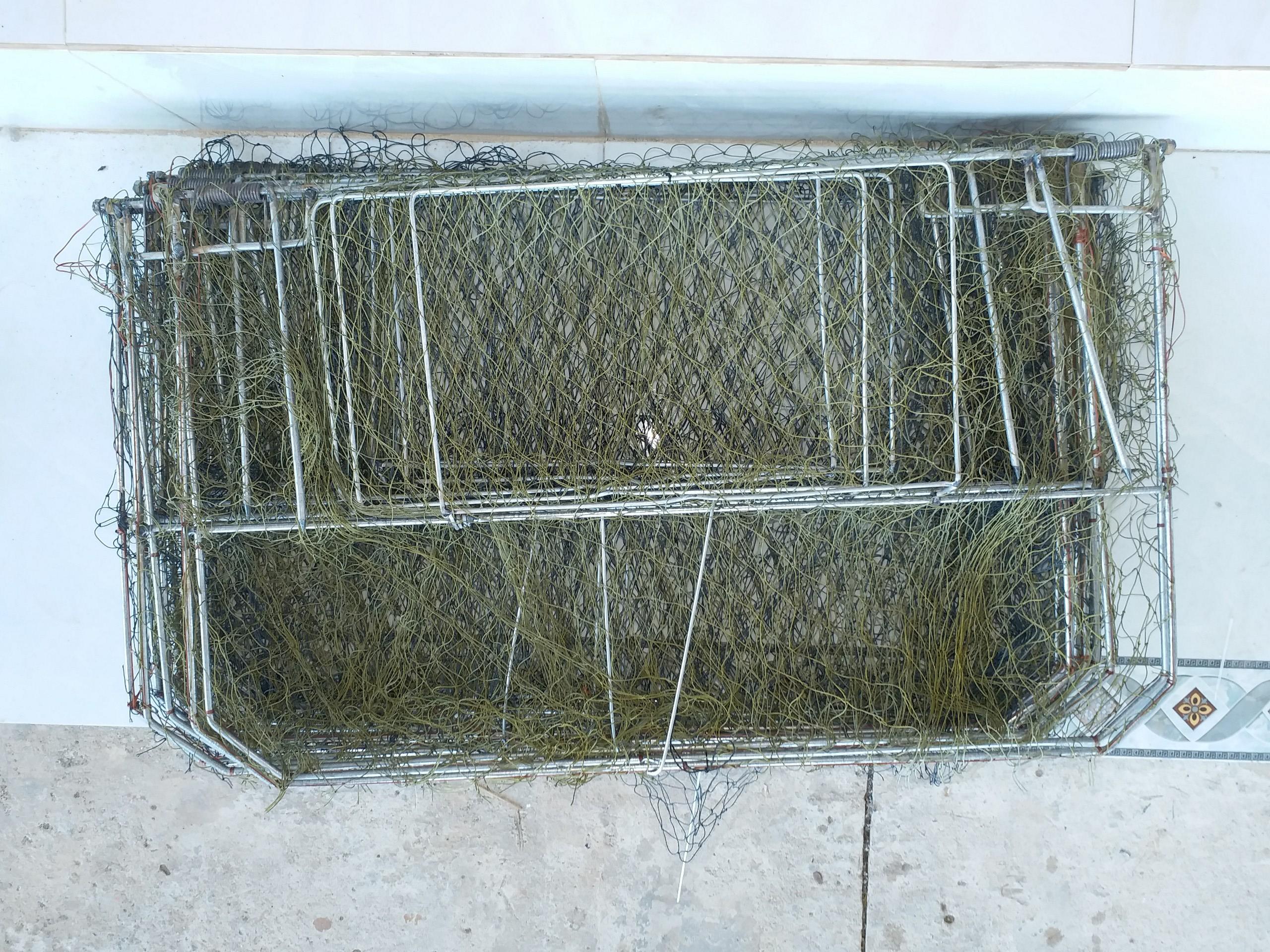 Mẹt vuông bẫy quốc bịp