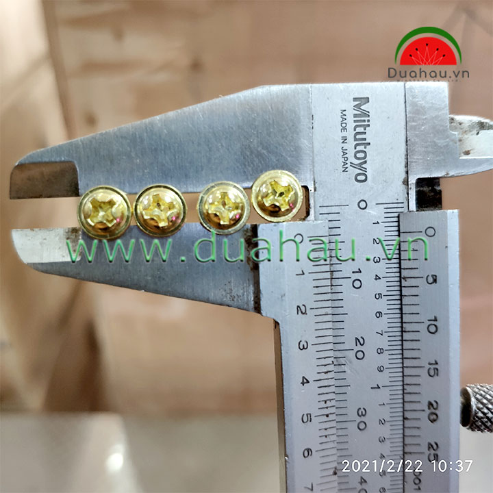 [HCM][1 ký] vít dù 3x10 Mm Đầu + loại 1 Nhập Khẩu