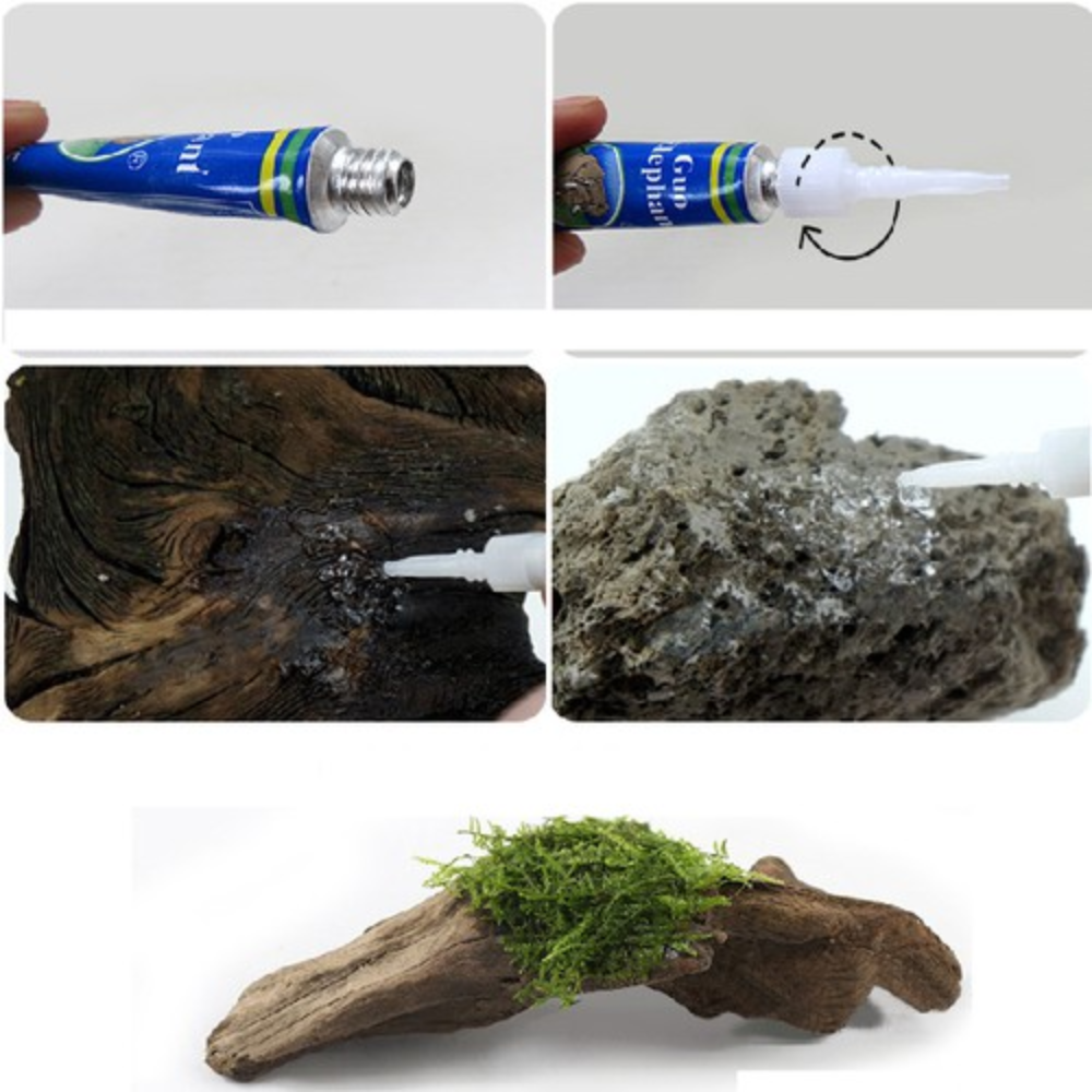 Keo Dán Rêu - Keo dán cây thuỷ sinh, ráy bucep thủy sinh lên lũa đá