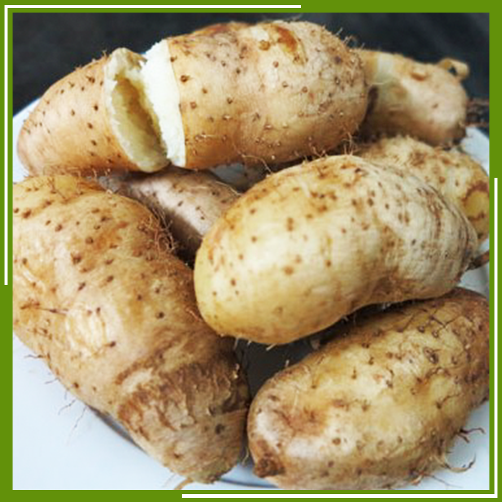 HCM - Khoai từ (500 g) - [Giao nhanh TPHCM]