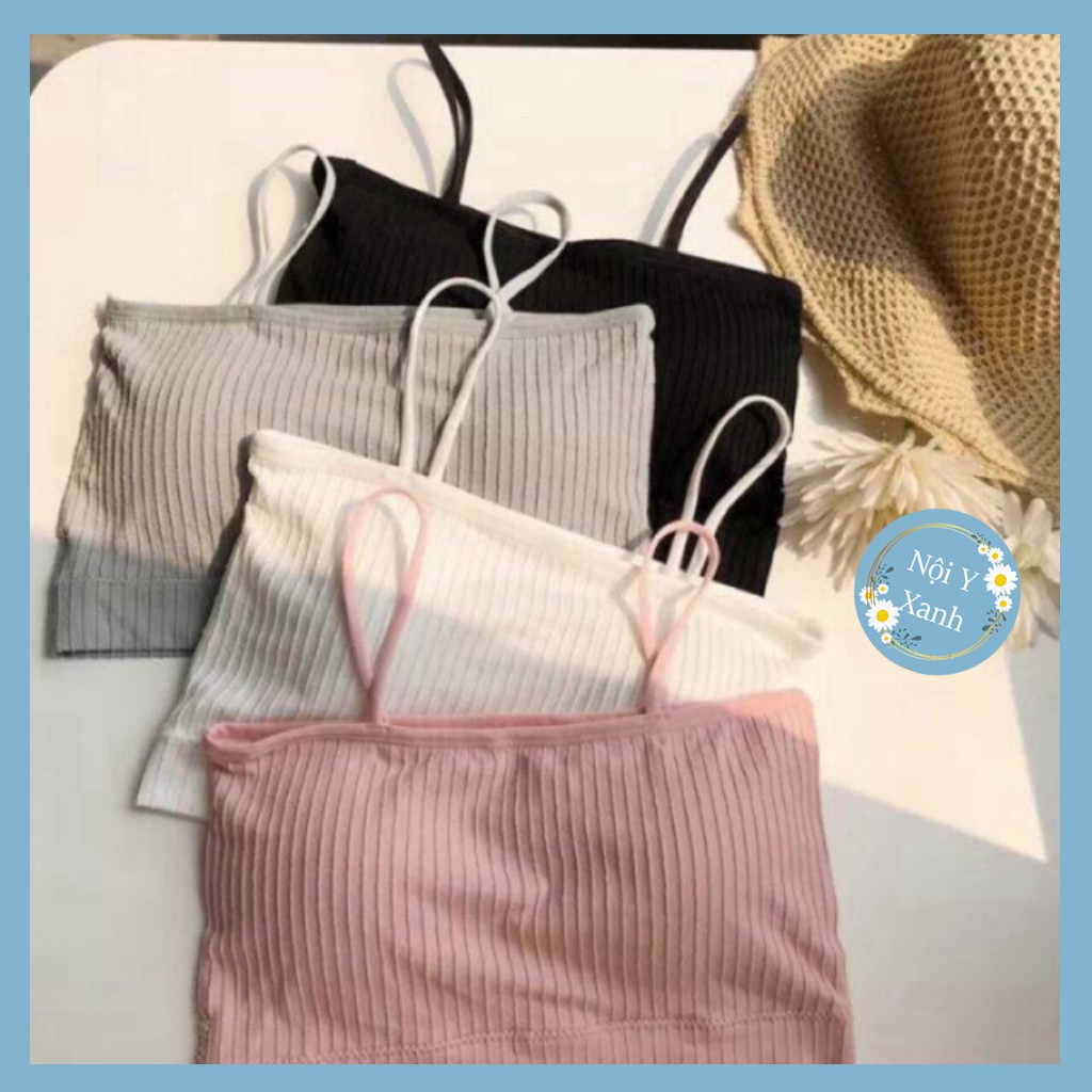 Áo bra quây cotton cho bạn gái 4 màu giá tốt