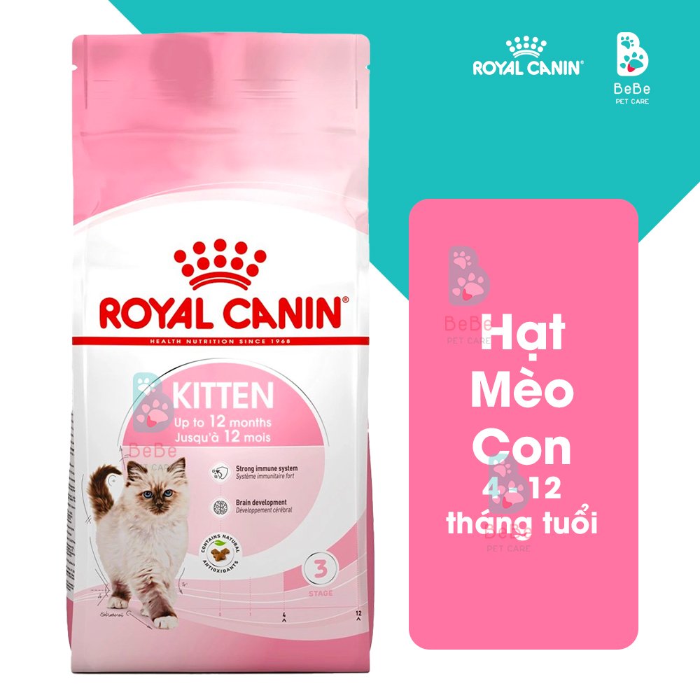 [1Kg-2Kg] Hạt ROYAL CANIN Kitten Dành Cho Mèo Con