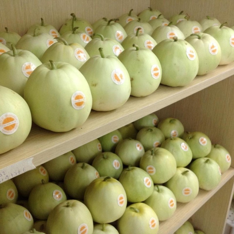 Super Sweet Melon Seeds - Pack of 20 Seeds