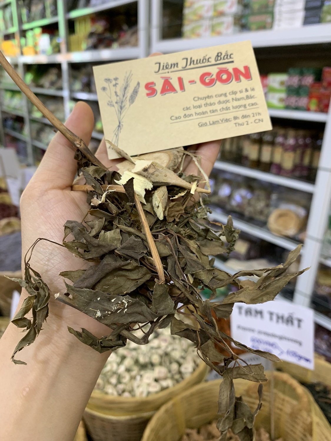 Đinh lăng hữu cơ 500gram tiệm thuốc bắc sài gòn
