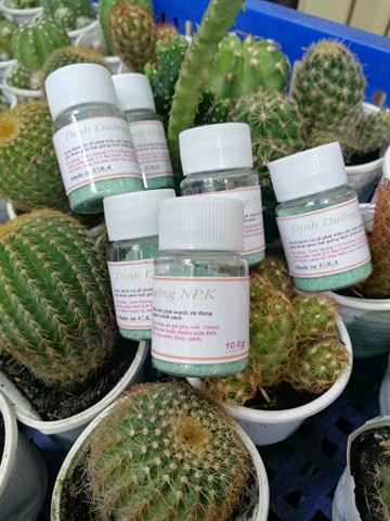[HCM]Phân bón thúc rễ cho cây trồng