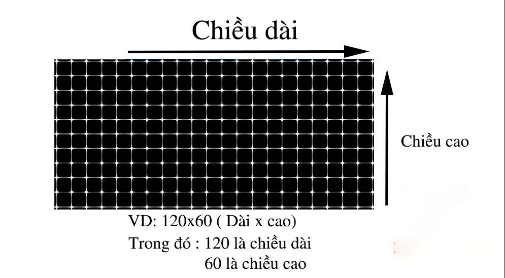 Tranh 3D Dán Hồ Cá Dán Bể Cá Hot Tặng Kèm Cảnh Báo