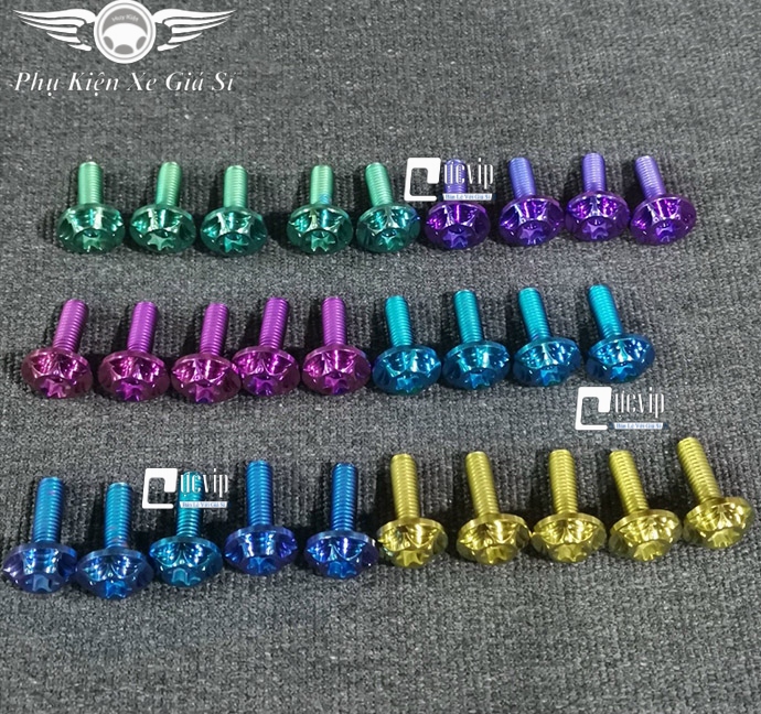 [HCM]Combo 2 Ốc 6Ly2 Titan Thật GR5 Kiểu Salaya MS3525