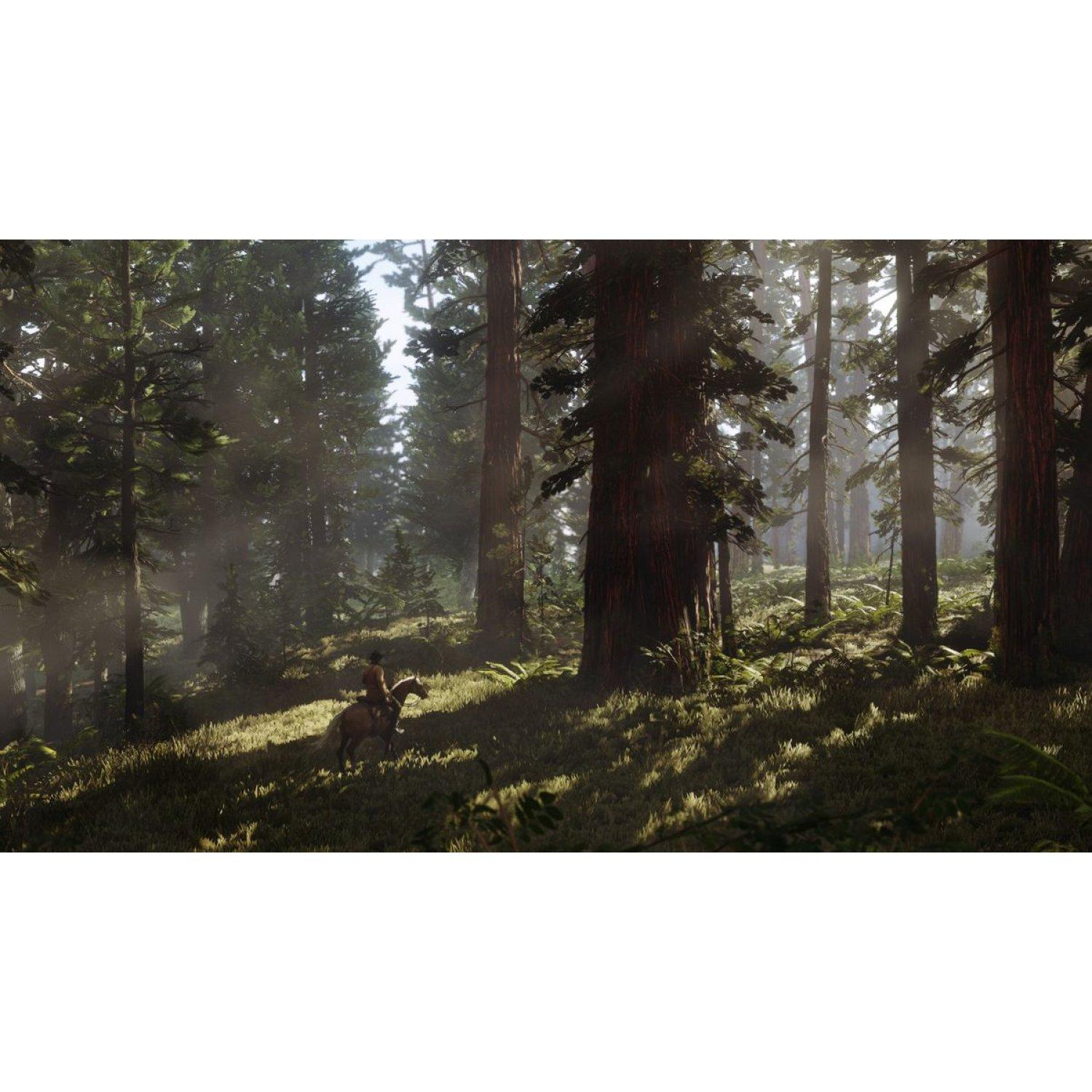 Đĩa Game PS4 - Red Dead Redemption 2