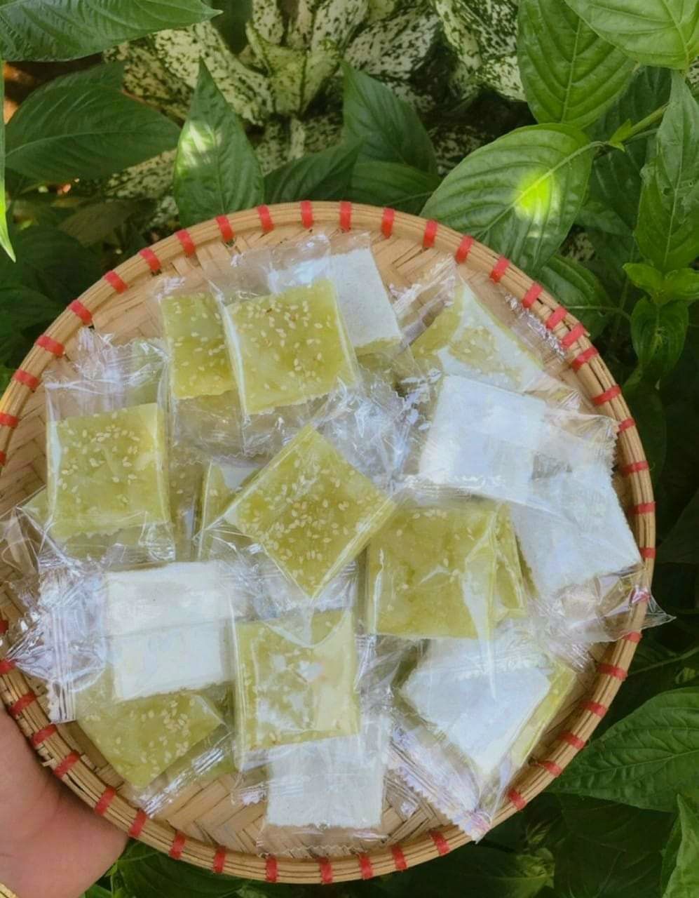 Kẹo dừa non mix 2 vị 500g