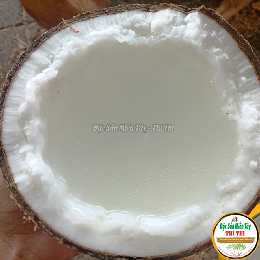 Dừa Sáp Thượng Hạng Loại 2 Size Đặc Biệt (Trái Trên 1.3Kg)