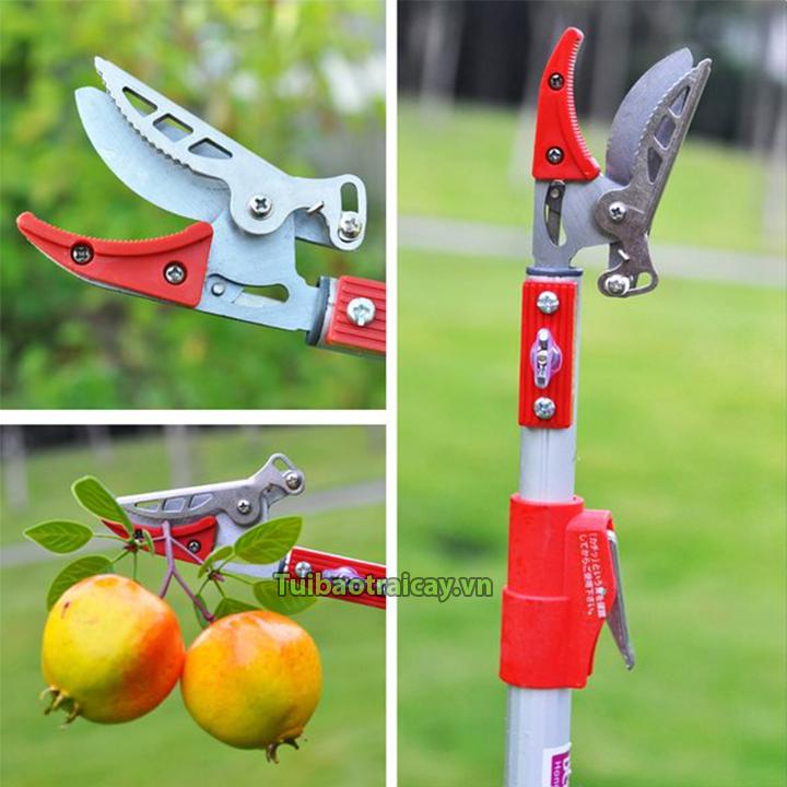 Kéo cắt cành hái quả trên cao 3m (3in1)