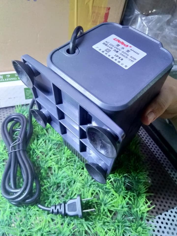[HCM]Máy bơm nước LifeTech AP 4500